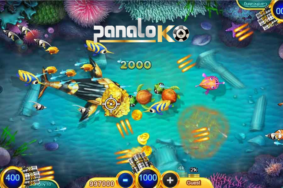 Panaloko Fishing Beautiful picture quality